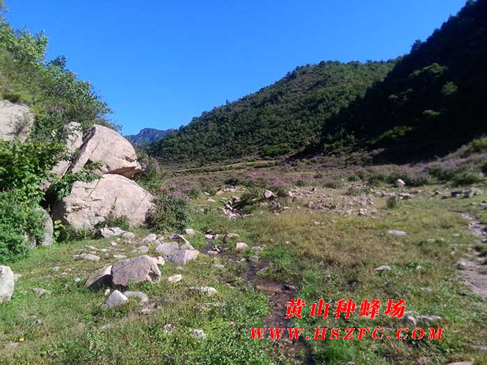 种蜂场简介