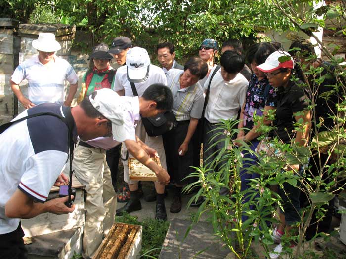 韩国养蜂专家团来黄山种蜂场考察