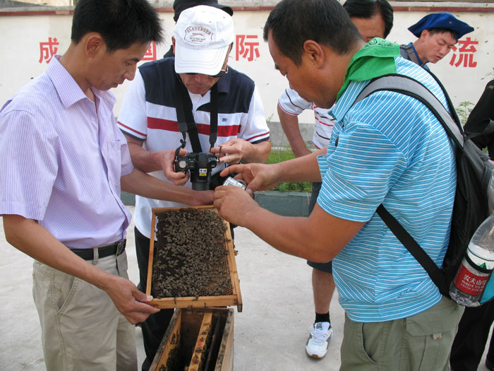 韩国养蜂专家团来黄山种蜂场考察